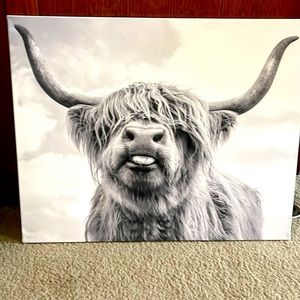 Cow photo on canvas